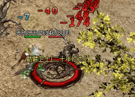 新开传奇