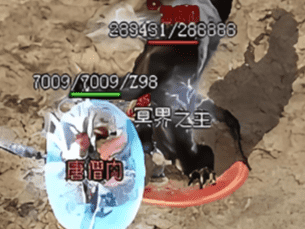 传奇sf